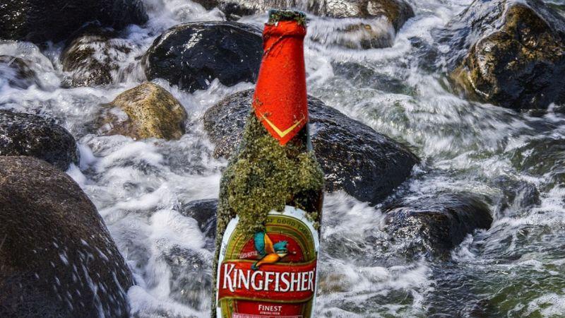 kingfisher beer