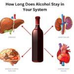 How Long Does Alcohol Stay in Your System